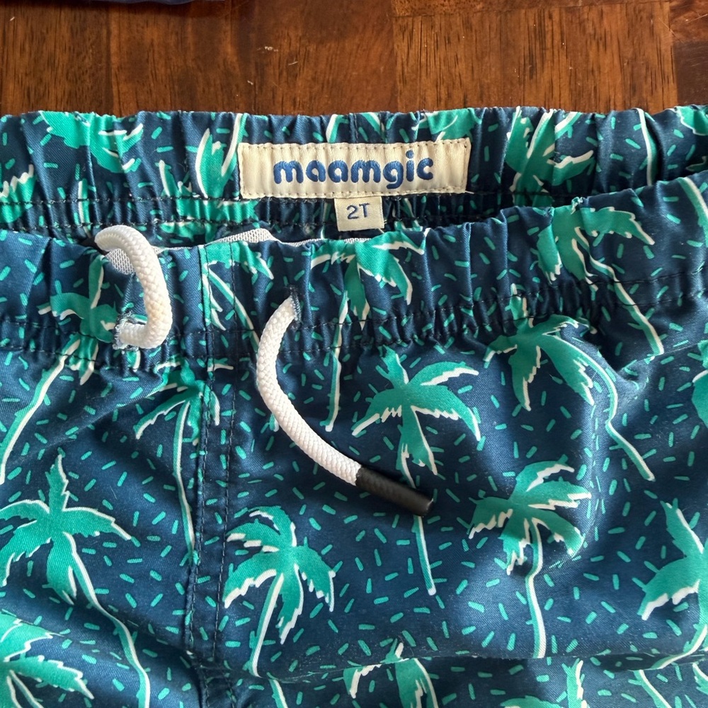 Boys 2T Swimsuit bundle - Picture 5 of 7